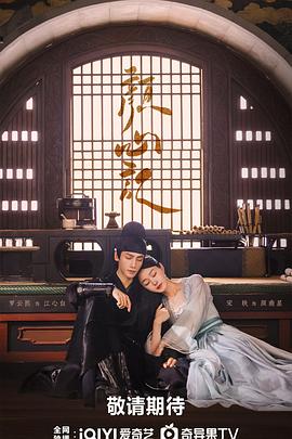 沧州seo优化排名公司